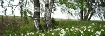 українські в Ісламі, Чому іслам іслам