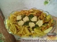 Печериці з картоплею, Гриби з картоплею, рецепти з фото на 327 рецептів гриби