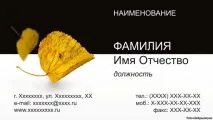 Зробити візаж джерелом постійного доходу зробити
