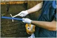 Зіграємо на гормоні запліднення