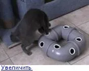 СО - Перегляд теми - Вироби для котів перегляд