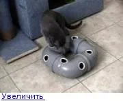СО - Перегляд теми - Вироби для котів перегляд