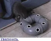 СО - Перегляд теми - Вироби для котів теми