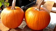 сниться