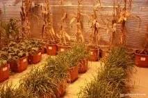 Сучасна агрохімія, Agroportal сучасна