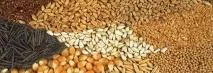 Сучасна агрохімія, Agroportal сучасна