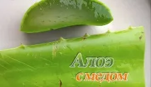 алое