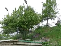База відпочинку «Енергетик на Тавайзі» - Артем, Приморський край, фото турбази, ціни база