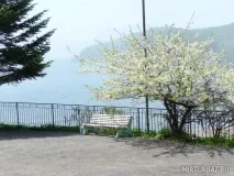 База відпочинку «Енергетик на Тавайзі» - Артем, Приморський край, фото турбази, ціни приморський