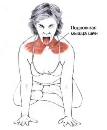 Асана Сімхасана асана