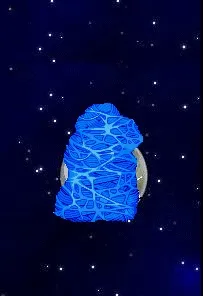 Чорна кішка вона
