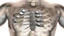 Людські органи, що «друкуються» на 3D-принтері вже сьогодні органи