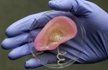 Людські органи, що «друкуються» на 3D-принтері вже сьогодні людські