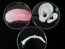 Людські органи, що «друкуються» на 3D-принтері вже сьогодні органи