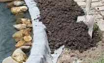 Декоративне водоймище своїми руками - родзинка на вашій ділянці Як зробити самому - Баня, сауна водоймище