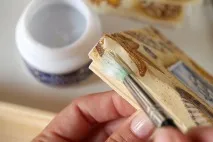 Декупаж освоюємо техніку, Журнал Домівка домівка