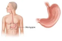 аскариди