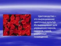 Квітництво – це вирощування квіткових культур - Презентація 2775-30 квіткових