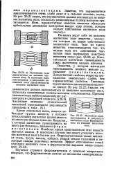 голямата