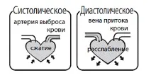 Діуретики при гіпертонії огляд ефективних сечогінних засобів діуретики