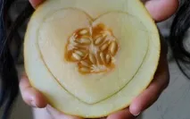 схуднення