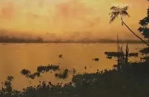 Дика фауна Венесуели, Басейн річки Оріноко, дика фауна Венесуели, рослинність, тваринний світ венесуели