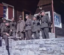 Дивізія Едельвейс Дивізія едельвейс