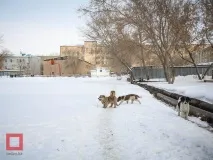 школи