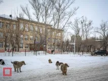 школи