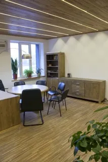 Стінові панелі з дерева стінові