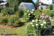 Gardening, Опора для чагарників gardening