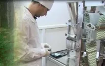 Ірина Філіппова грибне дослідження довжиною в життя філіппова