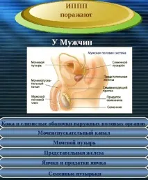 ІПСШ - інфекції сечостатевої системи чоловіків інфекції