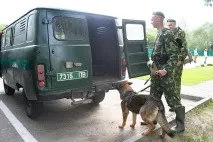 мігранти