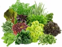 Які продукти підвищують тестостерон у чоловіків та жінок список список