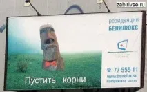 школа