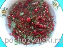 Як заморозити смородину на зиму ягоди