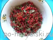 Як заморозити смородину на зиму смородина