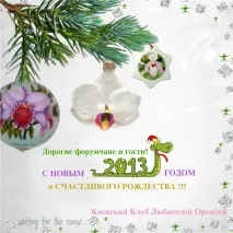 Київський Клуб Любителів Орхідей клуб