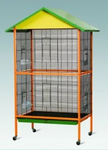 клітини