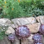 композиції