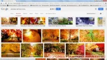 Колаж із фотографіями «Я росту» фотографіями