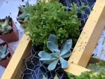композиції