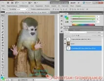Колаж із фотографіями «Я росту» Етап