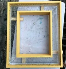сукулентів