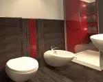 Червона ванна кімната, поєднання кольорів - 30 Фото інтер’єрів ванна