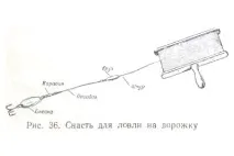 Ловля - в доріжку - Щукові та окуневі окуневі
