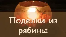 Майстерня чудес - Лужайка для дітей та батьків лужайка