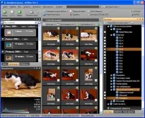 Менеджер цифрових фотографій ACDSee Pro 2 Photo Manager цифрових