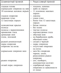 Методи розведення голубів голубів